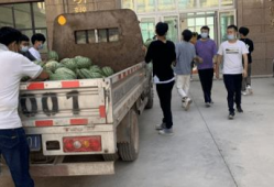 礼泉吃瓜最新事件爆料新闻,揭秘背后惊人真相，网络热议持续升温